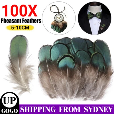 100x Lady Amherst Natural Green Pheasant Feathers DIY Craft Millinery Jewellery