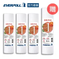 在飛比找蝦皮商城優惠-【EVERPOLL】溝槽式抗菌濾芯D-101( EVB-D1