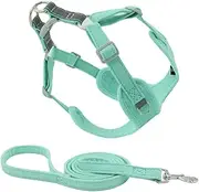 HOMOBABE 1 Set Pet Harness Paw Trimmer for Dogs Pets Dog for Medium Dogs Dog Puppy Collars Small Dog Harness Leash Dog Jacket Breed Vests Puppy Carrier Sling Running Vest Suede Green