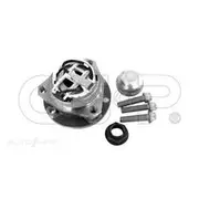 GSP Wheel Hub Assembly - 333069K
