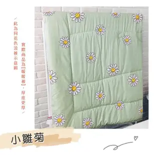 【BELLE VIE】韓國暢銷法式布蕾絲 可水洗舒柔棉暖暖被-150x200cm(多款任選/冬被)