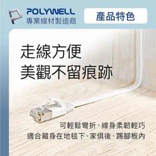 POLYWELL CAT6A扁線 15米 20米 高速網路線 RJ45 福祿克認證 寶利威爾 台灣現貨