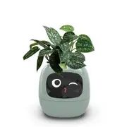 Smart AI Flowerpots Pet Planter Intelligent Plant Free Multiple Expressions 7 Smart Sensors Make Raising Plants Easy Fun Living Room Green