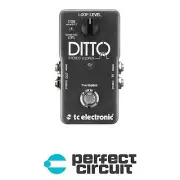 TC Electronic Ditto Stereo Looper Pedal EFFECTS - NEW - PERFECT CIRCUIT