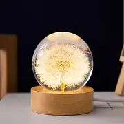 MARZIUS Flower Crystal Ball Night Light,2.4 inch Glass Ball Night Lamp with Woodern Base (Dandelion)