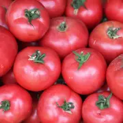 Tomato - Ponderosa Pink seeds