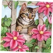 DIY 5D Diamond Painting Kits for Adult Diamond Art Kits for Beginners, 5D Cat