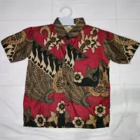 在飛比找蝦皮購物優惠-兒童 BATIK HEM 4-9 歲兒童 BATIK HEM