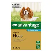 Bayer Advantage Dog 4-10kgs Medium 4 & 6 Pack Flea Tick Treatment Canine Pet