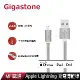 【GIGASTONE 立達】GC-3800S 鋁合金 Apple Lightning 編織充電傳輸線 1.5M/銀