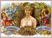 Forget Me-Not Beautiful Woman Vintage Cigar Box Crate Label Art Poster