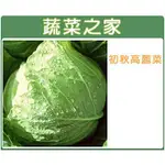 【蔬菜之家滿額免運】B01.高麗菜種子0.45(約70顆)(初秋高麗菜 梨山品種，寒冷天氣尾端成尖尾，口感較軟甜)