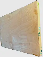 Curly Figured MapleBillet 20”x12”x.85” KD Big Leaf Guitar Bass Top Kiln Dried
