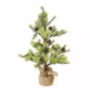 Mini Pine Tree With Burlap Base Green, 24 Inches