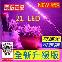 在飛比找蝦皮購物優惠-植物燈 盆栽燈 新款 全光譜 全波長 USB led植物生長