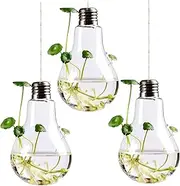 3 Set Bulb Vase Decorative Small Light Bulb Shape Clear Glass Hanging Planter with Twine for Indoor Home