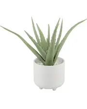 Flora Bunda 10in Aloe in 5in Barcode Footed Ceramic