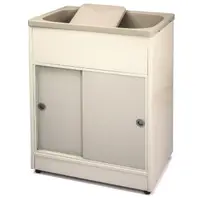 在飛比找momo購物網優惠-【Aaronation 愛倫國度】新型推門式塑鋼洗衣槽(GU