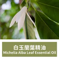 在飛比找蝦皮購物優惠-【馥靖精油】白玉蘭葉精油 Michelia Alba Lea