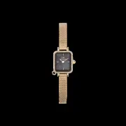 Daniel Wellington Quadro Mini Crystal Zodiac Evergold Watch