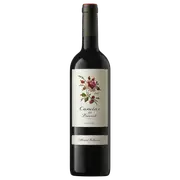 2021 Alvaro Palacios 'Camins del Priorat' Garnatxa Carinyena - Buy Online | The Wine Collective Marketplace