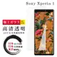 SONY Xperia 1 保護貼 日本AGC非全覆蓋玻璃透明高清鋼化膜