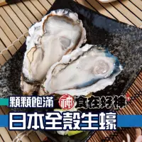 在飛比找momo購物網優惠-【食在好神】日本海養飯店御用生食級頂級生蠔