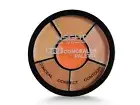 INSIGHT Cosmetics Natural Pro Concealer Palette Powder (Concealer) 15g Free ship