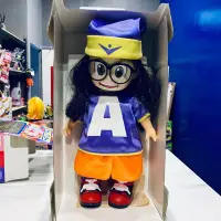 在飛比找Yahoo!奇摩拍賣優惠-絕版阿拉蕾可發聲娃娃 30公分大隻丁小雨 iq博士 機器娃娃