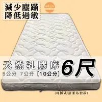 在飛比找Yahoo!奇摩拍賣優惠-【嘉新床墊】厚10公分/ 雙人加大6尺【馬來西亞天然乳膠床】