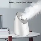 100ml Facial Steamer Nano Steam SPA Spray Moisturizer Face Sprayer Humidifier