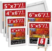 6Packs Mini Stretched Canvases for Painting Canvas for Oil & Acrylic Paint.