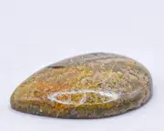 32mm Bumble Bee Jasper Cab Polished Natural Crystal Mineral Specimen - Indonesia
