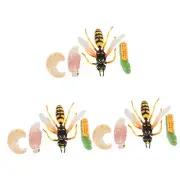 1 Setanimal life cycle figures bee cycle toy life cycle figurine /4pcs Insect