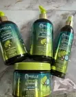 Mielle Avocado Tamanu Bundle Shampoo, Conditioner Leave In Cond.Curl Perfector