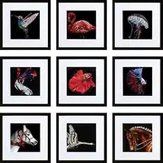 [HEART ART] 12x12 Black Picture Frame Set of 9, Display Pictures 8x8 with Mat or 12 x 12 without Mat, Multi Collage Gallery Square Photo Frames for Wall