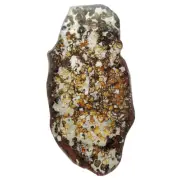 179.5g Brenham pallasite Meteorite slice - from USA QA110