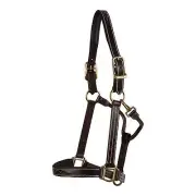 Huntley Equestrian Sedgwick Fancy Stitched Premium Leather Padded Halter Full