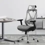 MIUZ Ergonomic Mesh Office Chair Executive Chairs Study Computer Gaming Seat Dark Grey