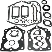 Car Repa One Set Complete Gasket Kit for Briggs for Stratton 590508 794307 497316 Spare partsir