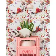 Birds on branch removable Wallpaper red mural Self Adhesive Home Decor