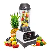 ALDKitchen Commercial Portable Blender | 2L | Smoothies & Cocktails | ALD-767
