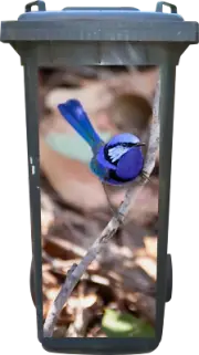 Blue wren wheelie bin sticker