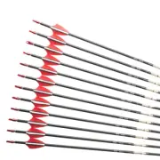 Carbon Arrows Sp400 500 600 700 800 900 1000 Arrow Tips for Recurve Bow Hunting