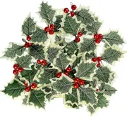 30 Pcs Artificial Holly Berries with Green Leaves, Artificial Red Fruit, Holly Berry Picks for DIY Crafts Gift Box Christmas Tree Decorations