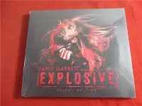 在飛比找Yahoo!奇摩拍賣優惠-David Garrett Explosive 2CD 歐版