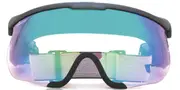Julbo SNIPER EVO L J69235201 Men's Sunglasses Black Size Standard