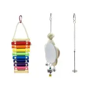 Chicken Xylophone Toy + Chicken Skewer Fruit Holder + Chicken Toy