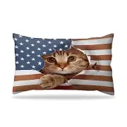 Polyester Pillow Case Plush Throw Pillow Covers,Fashionable Decorative Square