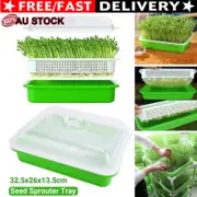 Seed Sprouter Tray with Lid Soilless Cultivation Plate Vegetable Bean Sprout OZ